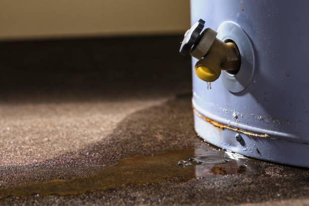 Best Local water damage restoration  in Machesney Park, IL