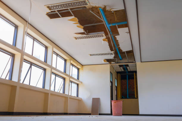 Best 24-hour water damage restoration  in Machesney Park, IL