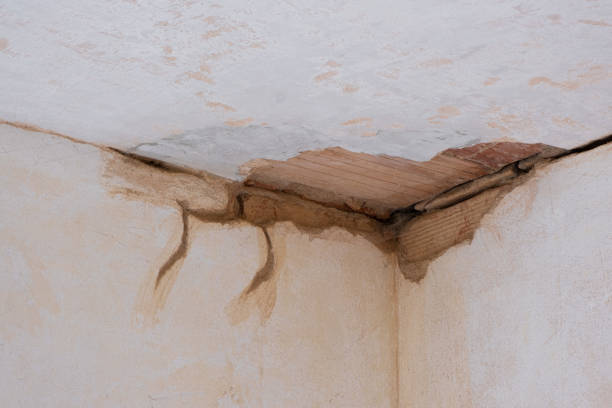 Best Local water damage restoration  in Machesney Park, IL