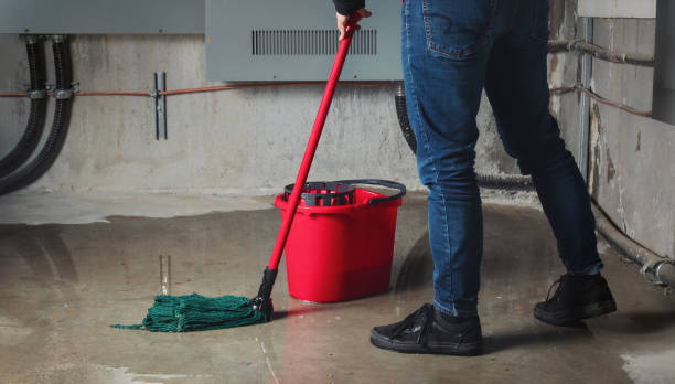 Best Mold removal after water damage  in Machesney Park, IL