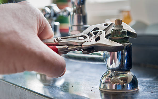 Best Professional water damage repair  in Machesney Park, IL