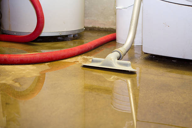 Best Flood restoration services  in Machesney Park, IL