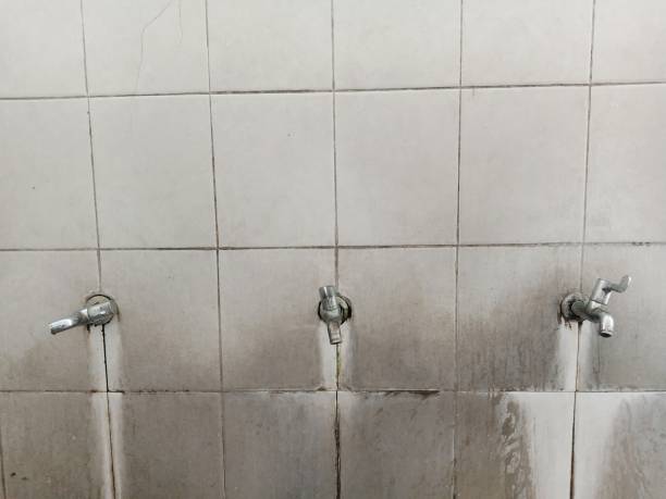 Best Basement water damage restoration  in Machesney Park, IL