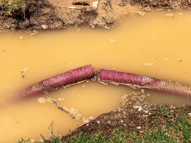 Best Sewage cleanup and water damage restoration  in Machesney Park, IL