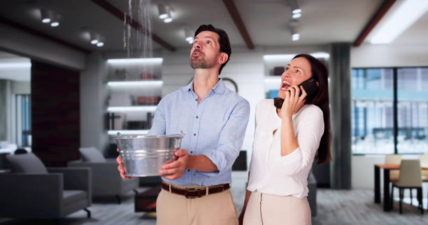 Best Flooded house restoration  in Machesney Park, IL