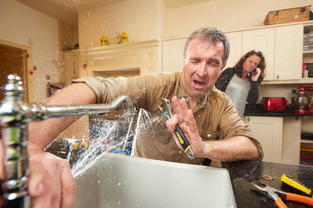 Best Mold removal after water damage  in Machesney Park, IL